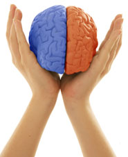 Neurofeedback is training in self-regulation for optimal brain function.
